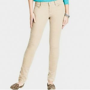 NWT Loft Modern Skinny Corduory 25/0 P